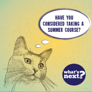 consider a summer college course