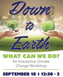 Down to Earth: What Can We Do?