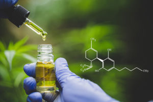 cannabis certificate