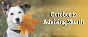 October is Advising Month